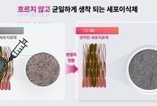 "이식한 세포 90% 생착"…세포치료제 게임체인저 떴다