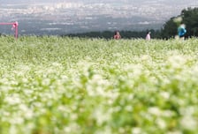 [내일 날씨] 선선한 가을날…낮과 밤 일교차 10도 이상