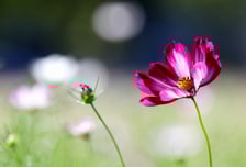 [오늘 날씨] 9월 마지막날 일교차 10도 이상…"건강관리 유의"