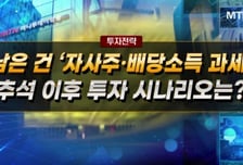 [집중분석] 남은 건 '자사주·배당소득 과세'… 추석 이후 투자 시나리오는?