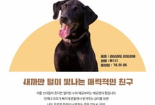 은퇴 검역탐지견 민간입양, 이제 언제든지 신청하세요