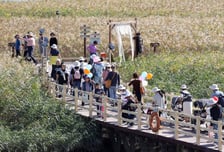 반값 여행에 경제도 꿈틀 ‘강진형 모델’ 선순환