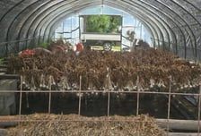 "산등성이 넘은 화마, 아직도 꿈에"…단둘이 남은 남매, 휑한 마늘밭에 '한숨'