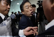 "광복은 연합군 선물"…보훈부, 김형석 독립기념관장 감사 연장