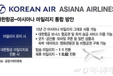 일부 손실보더라도 '마일리지 잡음' OFF… '통합 이륙' 날개