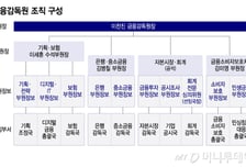 '선임' 되는 분쟁조정·소비자보호… 금감원내 '선호도' 올라갈까
