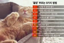 더 빨리 더 깊게 자려면…'꿀잠' 부르는 9가지 방법[1분 생활백서]