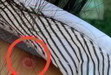 담배빵·성폭행 호소에도 학교는 "네가 피해라"…결국 숨진 여고생