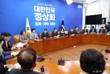 국정감사 앞두고…민주당 "기업인 증인·참고인 출석 최소화 요청"