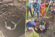 사라진 중국인…"물뱀 있는 우물에 빠져" 벽 잡고 54시간 버텼다