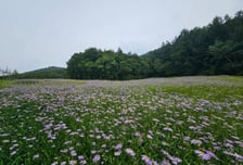 추석 용돈·밥값에 텅 빈 지갑 걱정이라면…'무료 관광지' 어떠세요