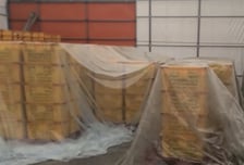 추석 대목 노렸다…"노란색이 더 비싸" 덜 익은 감귤에 화학약품 뿌려