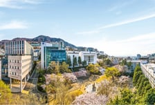 경남정보대 수시1차 1만378명 지원 경쟁률 대폭상승