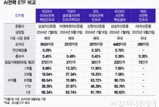 AI가 연 전력 투자 시대…한국·미국 어디 투자하지?[ETFvsETF]