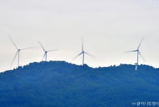 친환경·무탄소 재생에너지…모두가 찬성하는데 전기요금은?