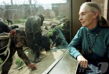 '침팬지의 어머니' 제인 구달 별세…향년 91세