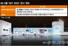 AI시대, 맞춤형 에너지 로드맵 제시한다..SK그룹, SEP에서 공개