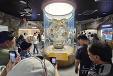 "혈세 낭비" 욕먹던 황금박쥐상…테슬라 투자보다 성공? '320억 대박'