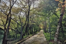 동두천시, '소요 숲 힐링공간 조성사업' 착공