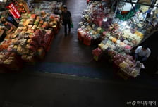 정부 "추경·소비쿠폰, 물가 영향 제한적…추석 성수품 대책은 효과"