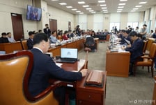 정의선·백종원부터 한화이글스까지…행안위, 국정감사에 기업 줄소환