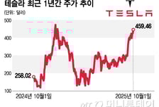 테슬라, 사상최고가 경신하나…차트상 520달러까지 모멘텀 유효[오미주]
