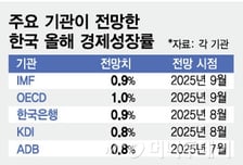 주요 국내외 기관, 올해 韓성장률 0.8~1.0% 전망…가장 높은 곳은?