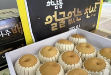 "누군가의 명절이 외롭지 않길"…올해도 나타난 '얼굴 없는 천사', 14년째