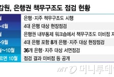 책무구조도 점검 끝낸 금감원…"4대 은행, 임원용 매뉴얼 초안 마련"