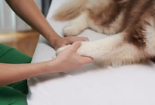 '포스텍의 세포들' 일냈다...치료 효과 높이고, 비용은 줄인 신기술