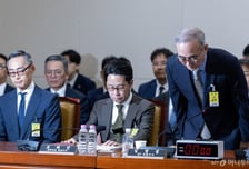 "살길은 중동 진출" 막막했는데…'털리고 불나고' 보안주 또 들썩