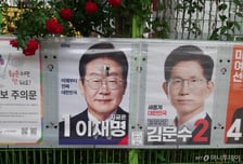 대선 기간 '이재명 벽보' 눈·코·입 라이터로 태운 女…벌금 50만원