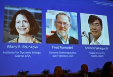 [속보] 노벨생리의학상에 메리 브랑코·프레드 럼스델·사카구치 시몬