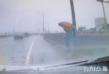 추석 연휴 강변북로 배회한 치매 노인…"혼자 우산 쓴 채 역주행"