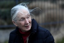 구달, 생전 인터뷰서 "트럼프·머스크, 우주로 보내고 싶다"