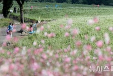 [내일 날씨]'황금연휴' 끝, 전국 대체로 맑음…강원·제주에 5㎜ 비 소식