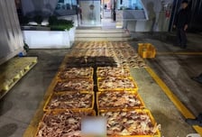 대게 안 잡힌다더니…'암컷 대게' 2300마리 자기 집 수족관에 숨긴 선장