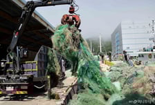 "해양폐기물 수거에 4600억원 투입했는데…선박사고 오히려 증가"