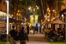 용인시 보정동 카페거리, 감성 정원 '코지가든'으로 재탄생…11일 첫선