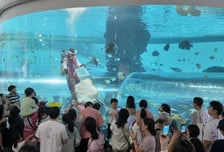 국립해양박물관, 추석연휴 '인파' 몰려…하루 평균 7000명 이상 방문