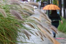 [오늘 날씨] 주말 중부 중심 '가을비'…남부는 맑음