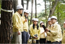 [사진] 김인호 산림청장, 경주 APEC 행사장 소나무재선충병 방제 현장 점검