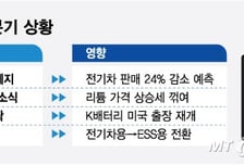 혹한기 직면한 K배터리…"쉴 틈이 없다" 돌파구 마련 분주