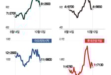 외국인 관광객 늘었지만... 환율에 발목 잡힌 수혜주