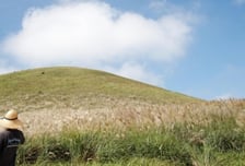 10월인데 제주는 여름?…서귀포 한낮 '31.7도' 찍었다, 역대 1위