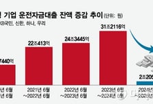 회사채로 방향 튼 대기업들…은행 운전자금대출은 '급속 둔화'
