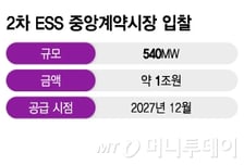 '조 단위' ESS 2차전 LFP vs 삼원계 재격돌…승자 누가 될까