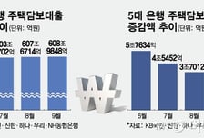 더 센 대출규제 예고...은행권 "별 영향 없다" 왜?
