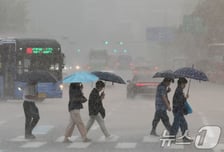 [오늘날씨]"오늘도 우산 챙기세요"…전국 '흐리고 비', 남부·동해안 폭우