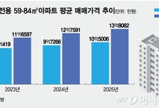 "국평 포기" 평수 줄여도 10억 있어야…서울 59㎡ 아파트 8% '쑥'